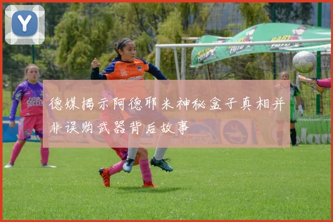 德媒揭示阿德耶米神秘盒子真相并非误购武器背后故事