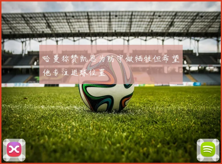 哈曼称赞凯恩为防守做牺牲但希望他专注进球位置