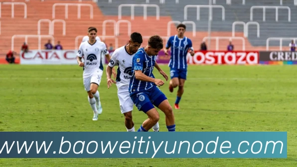 宝威体育平台生态图