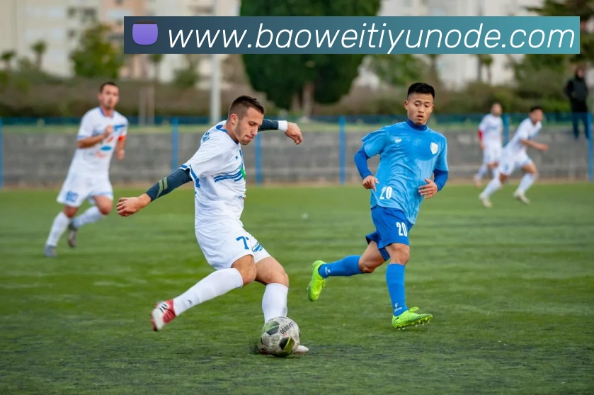 宝威体育APP 封面图